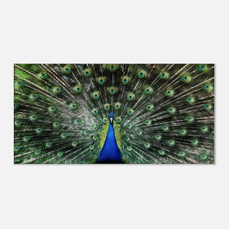 Da Vinci Animal Kingdom Wall art print collection | Peacock | Canvas print - Thick - 30x60 cm / 12x24″ - 