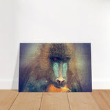 Da Vinci Animal Kingdom Wall art print collection | Wildlife | Mandrill - Brushed Aluminum Print - 30x45 cm / 12x18″ - 