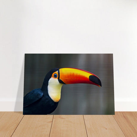 Da Vinci Animal Kingdom Wall art print collection | Wildlife | Toucans Bird - Brushed Aluminum Print - 60x90 cm / 24x36″ - 