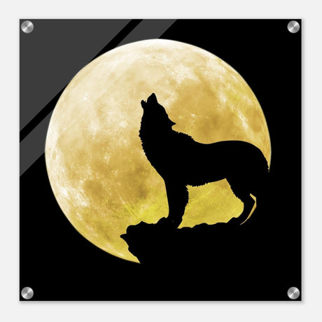 Da Vinci Animal Kingdom Wall art print collection | Wolf - Acrylic Print - 50x50 cm / 20x20″ - 