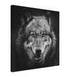 Da Vinci Animal Kingdom Wall art print collection | Wolf - Canvas - 50x50 cm / 20x20″ - Slim