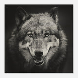 Da Vinci Animal Kingdom Wall art print collection | Wolf - Wood Prints - 60x60 cm / 24x24″ - 10 mm