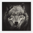 Da Vinci Animal Kingdom Wall art print collection | Wolf - Wood Prints - 60x60 cm / 24x24″ - 20 mm