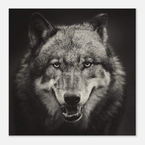 Da Vinci Animal Kingdom Wall art print collection | Wolf - Wood Prints - 60x60 cm / 24x24″ - 20 mm