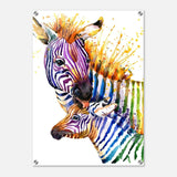 Da Vinci Animal Kingdom Wall art print collection | Zebra | Contemporary art print - Acrylic Print - 50x70 cm / 20x28″ - 