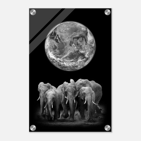 Da Vinci Animal Kingdom Wall art print | Elephant - Acrylic Print - 30x45 cm / 12x18″ - 