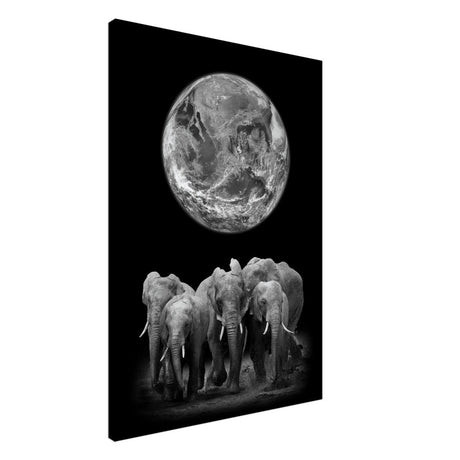 Da Vinci Animal Kingdom Wall art print | Elephant - Canvas - 70x100 cm / 28x40″ - Thick