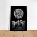 Da Vinci Animal Kingdom Wall art print | Elephant - Brushed Aluminum Print - 60x90 cm / 24x36″ - 