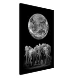 Da Vinci Animal Kingdom Wall art print | Elephant - Canvas - 60x90 cm / 24x36″ - Slim