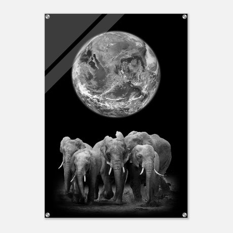 Da Vinci Animal Kingdom Wall art print | Elephant - Acrylic Print - 70x100 cm / 28x40″ - 