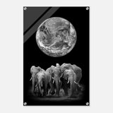 Da Vinci Animal Kingdom Wall art print | Elephant - Acrylic Print - 50x75 cm / 20x30″ - 