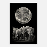 Da Vinci Animal Kingdom Wall art print | Elephant - Wood Prints - 30x45 cm / 12x18″ - 10 mm