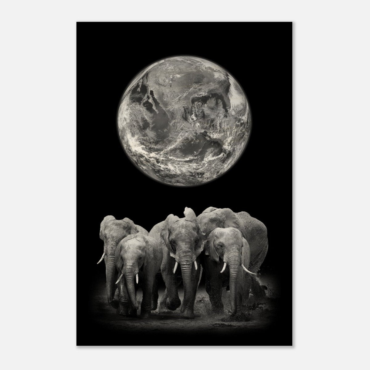Da Vinci Animal Kingdom Wall art print | Elephant - Wood Prints - 60x90 cm / 24x36″ - 10 mm