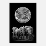 Da Vinci Animal Kingdom Wall art print | Elephant - Aluminum Print - 50x75 cm / 20x30″ - 
