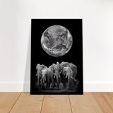 Da Vinci Animal Kingdom Wall art print | Elephant - Brushed Aluminum Print - 70x100 cm / 28x40″ - 