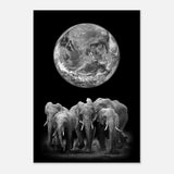 Da Vinci Animal Kingdom Wall art print | Elephant - Aluminum Print - 70x100 cm / 28x40″ - 