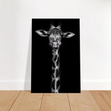 Da Vinci Animal Kingdom Wall art print | Giraffe | Minimalist Black and white - Brushed Aluminum Print - 50x75 cm / 20x30″ - 