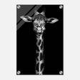 Da Vinci Animal Kingdom Wall art print | Giraffe | Minimalist Black and white - Acrylic Print - 30x45 cm / 12x18″ - 