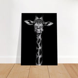 Da Vinci Animal Kingdom Wall art print | Giraffe | Minimalist Black and white - Brushed Aluminum Print - 70x100 cm / 28x40″ - 