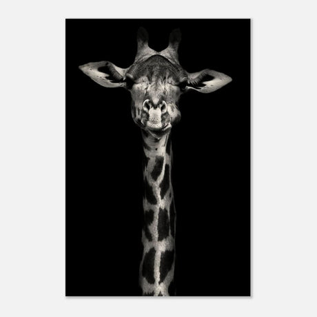 Da Vinci Animal Kingdom Wall art print | Giraffe | Minimalist Black and white - Wood Prints - 60x90 cm / 24x36″ - 10 mm
