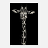 Da Vinci Animal Kingdom Wall art print | Giraffe | Minimalist Black and white - Wood Prints - 30x45 cm / 12x18″ - 10 mm