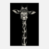 Da Vinci Animal Kingdom Wall art print | Giraffe | Minimalist Black and white - Wood Prints - 40x60 cm / 16x24″ - 20 mm
