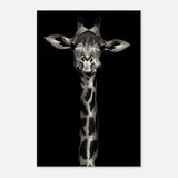 Da Vinci Animal Kingdom Wall art print | Giraffe | Minimalist Black and white - Wood Prints - 30x45 cm / 12x18″ - 20 mm
