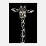 Da Vinci Animal Kingdom Wall art print | Giraffe | Minimalist Black and white - Wood Prints - 70x100 cm / 28x40″ - 20 mm