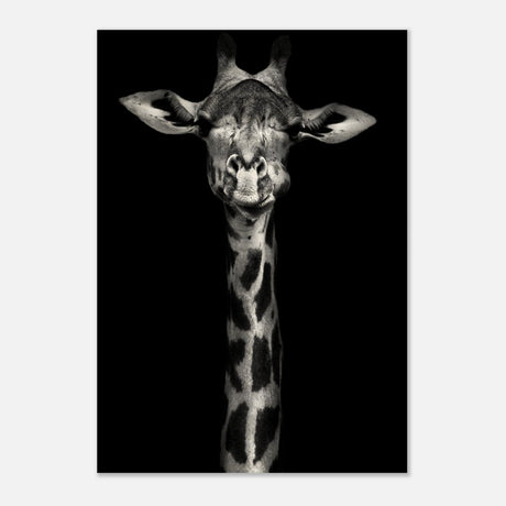 Da Vinci Animal Kingdom Wall art print | Giraffe | Minimalist Black and white - Wood Prints - 70x100 cm / 28x40″ - 20 mm