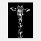 Da Vinci Animal Kingdom Wall art print | Giraffe | Minimalist Black and white - Aluminum Print - 70x100 cm / 28x40″ - 