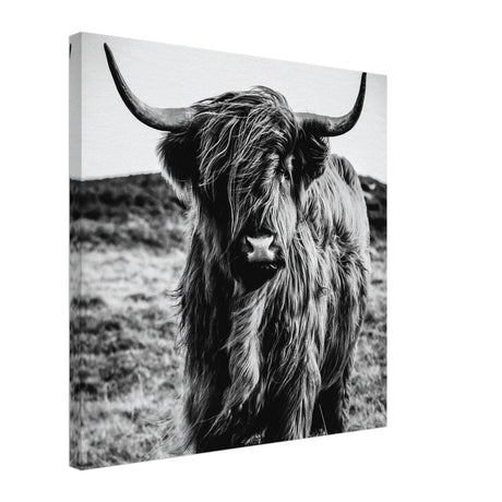 Da Vinci Animal Kingdom Wall art print | Highland Cow - Canvas - 50x50 cm / 20x20″ - 