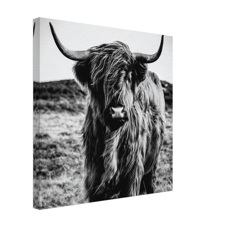 Da Vinci Animal Kingdom Wall art print | Highland Cow - Canvas - 40x40 cm / 16x16″ - 