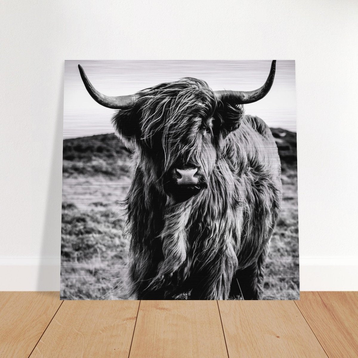 Da Vinci Animal Kingdom Wall art print | Highland Cow - Brushed Aluminum Print - 50x50 cm / 20x20″ - 