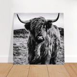 Da Vinci Animal Kingdom Wall art print | Highland Cow - Brushed Aluminum Print - 50x50 cm / 20x20″ - 