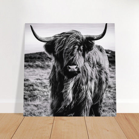 Da Vinci Animal Kingdom Wall art print | Highland Cow - Brushed Aluminum Print - 50x50 cm / 20x20″ - 