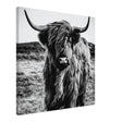 Da Vinci Animal Kingdom Wall art print | Highland Cow - Canvas - 60x60 cm / 24x24″ - 