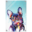 Da Vinci Animal Kingdom Wall art print | Vibrant Frenchie: Colorful Bulldog Art Print - Acrylic Print - 30x45 cm / 12x18″ - 