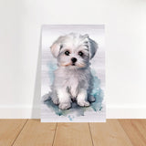 Da Vinci Animal Kingdom Wall art print | Whimsical Whispers: White Paws | Dog | Maltese - Brushed Aluminum Print - 40x60 cm / 16x24″ - 