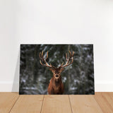 Da Vinci Animal Kingdom Wall art print | Wildlife | Deer - Brushed Aluminum Print - 30x45 cm / 12x18″ - 