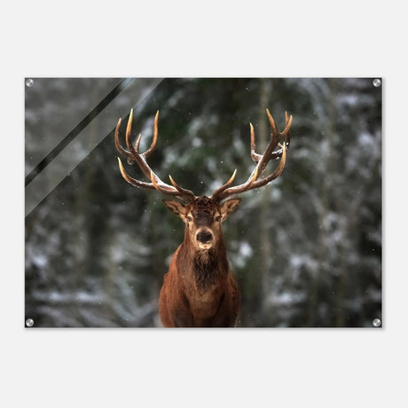 Da Vinci Animal Kingdom Wall art print | Wildlife | Deer - Acrylic Print - 70x100 cm / 28x40″ - 