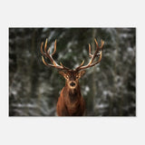 Da Vinci Animal Kingdom Wall art print | Wildlife | Deer - Wood Prints - 70x100 cm / 28x40″ - 10 mm