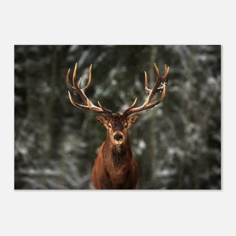 Da Vinci Animal Kingdom Wall art print | Wildlife | Deer - Wood Prints - 70x100 cm / 28x40″ - 10 mm