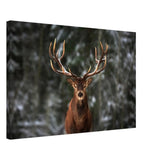 Da Vinci Animal Kingdom Wall art print | Wildlife | Deer - Canvas - 50x75 cm / 20x30″ - Thick