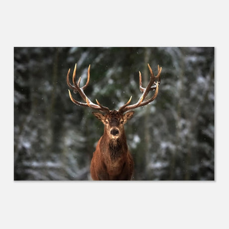 Da Vinci Animal Kingdom Wall art print | Wildlife | Deer - Aluminum Print - 30x45 cm / 12x18″ - 
