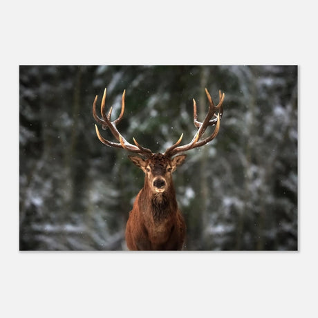 Da Vinci Animal Kingdom Wall art print | Wildlife | Deer - Aluminum Print - 40x60 cm / 16x24″ - 