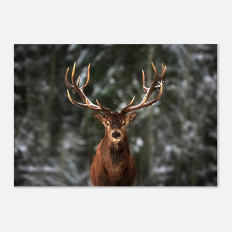 Da Vinci Animal Kingdom Wall art print | Wildlife | Deer - Aluminum Print - 70x100 cm / 28x40″ - 