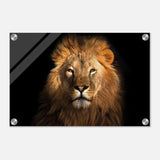 Da Vinci Animal Kingdom Wall art print | Wildlife | Lion | - Acrylic Print - 30x45 cm / 12x18″ - 