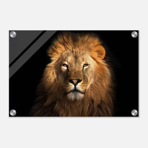 Da Vinci Animal Kingdom Wall art print | Wildlife | Lion | - Acrylic Print - 30x45 cm / 12x18″ - 