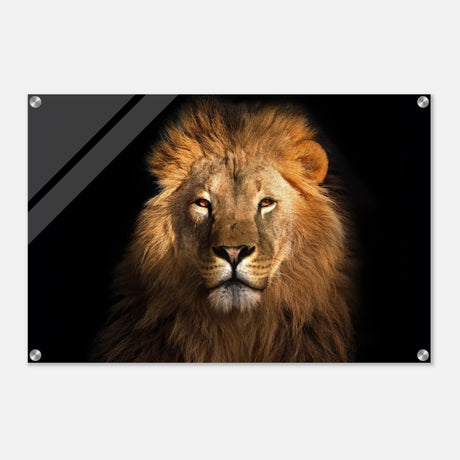 Da Vinci Animal Kingdom Wall art print | Wildlife | Lion | - Acrylic Print - 50x75 cm / 20x30″ - 