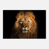 Da Vinci Animal Kingdom Wall art print | Wildlife | Lion | - Wood Prints - 30x45 cm / 12x18″ - 20 mm